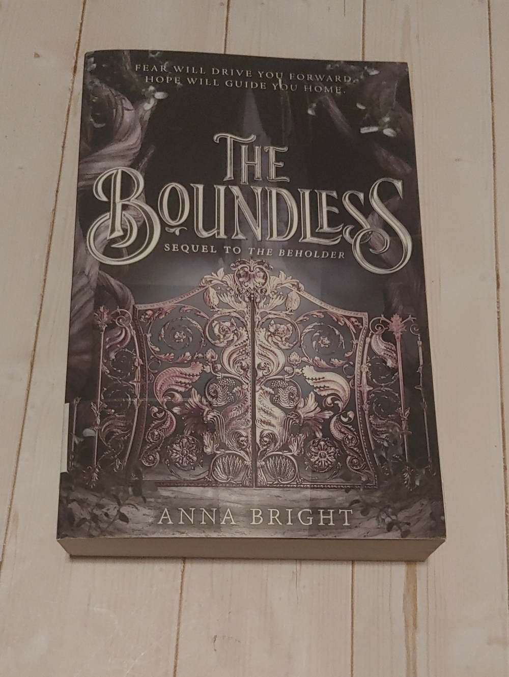 The Boundless Sequel To Beholder By Anna Bright Teen Young Adult Fiction Book